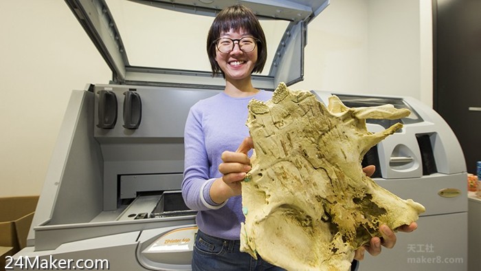 3D打印鱼化石揭示了人类牙齿演化的线索